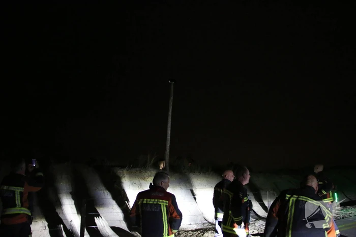 Zanger Alex zorgt voor inzet brandweer voor kat op paal