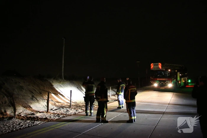 Zanger Alex zorgt voor inzet brandweer voor kat op paal
