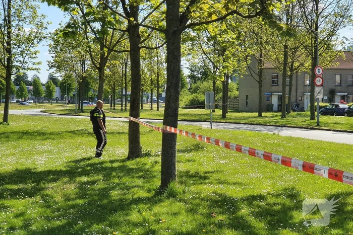 Mogelijk opnieuw geschoten in Kruidenwijk