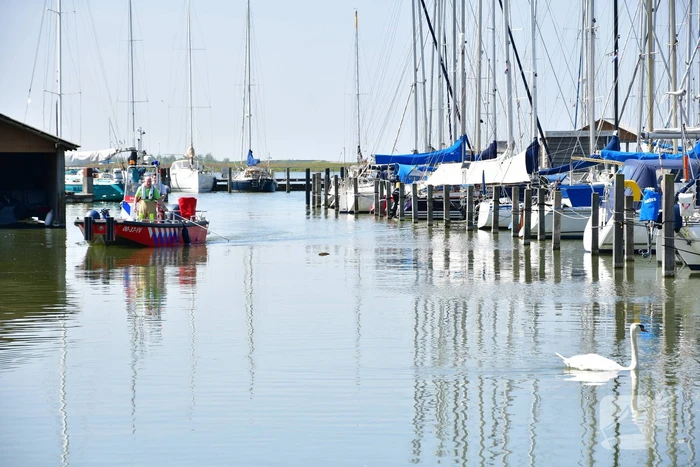 Zwaan raakt vast in visdraad bij Jachthaven Lelystad