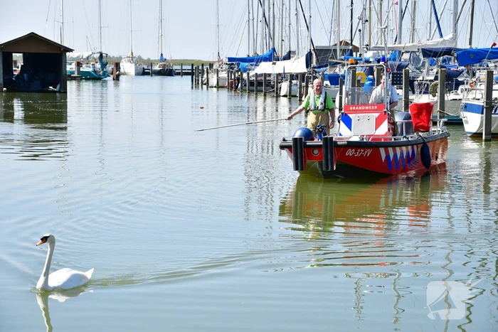 Zwaan raakt vast in visdraad bij Jachthaven Lelystad
