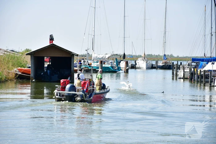 Zwaan raakt vast in visdraad bij Jachthaven Lelystad