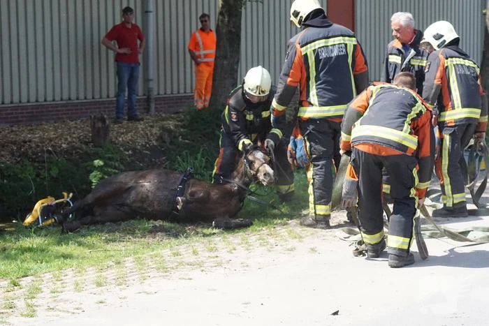 ongeval tentweg stolwijk