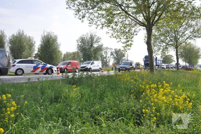 Gewonde bii kop-staartaanrijding