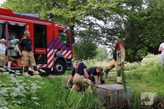 Brandweer redt baby eend uit rioolbuis