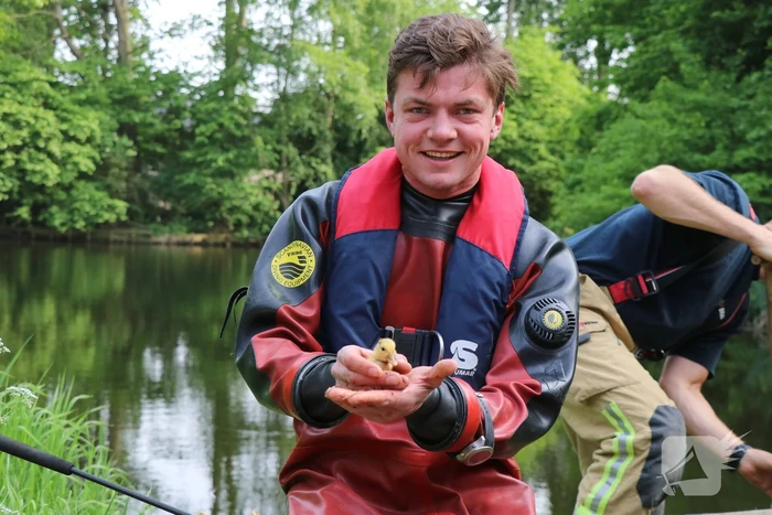 Brandweer redt baby eend uit rioolbuis