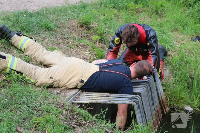 Brandweer redt baby eend uit rioolbuis