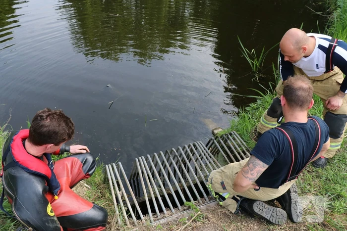 Brandweer redt baby eend uit rioolbuis