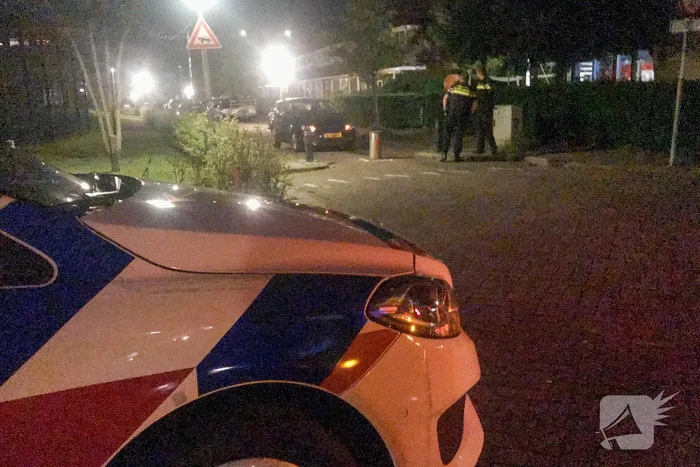 Automobilist botst tegen paal