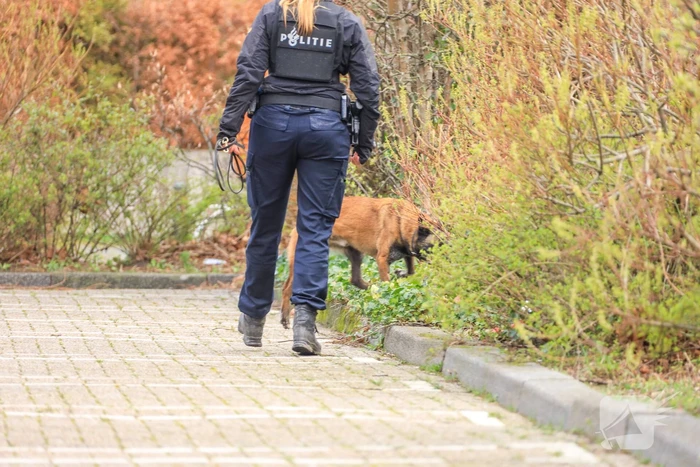 Overval op Kwikfit in Groenenhagen