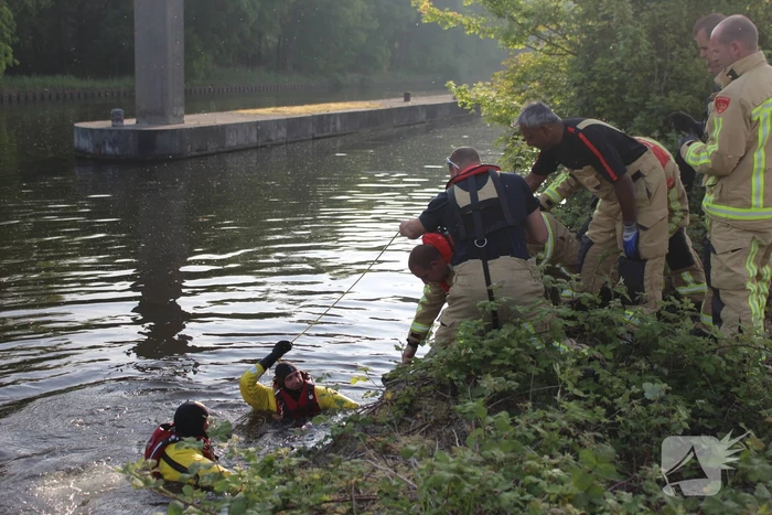 Ree gered uit kanaal