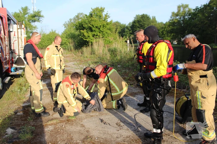 Ree gered uit kanaal