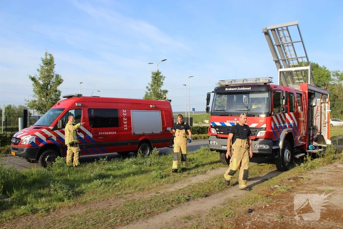 Ree gered uit kanaal