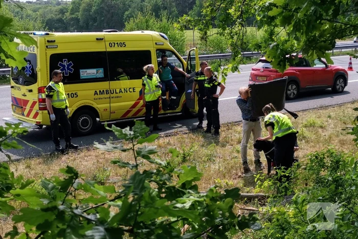 Auto raakt van snelweg en crasht