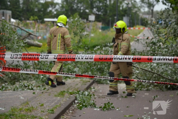 Omgewaaide boom blokkeert fietspad