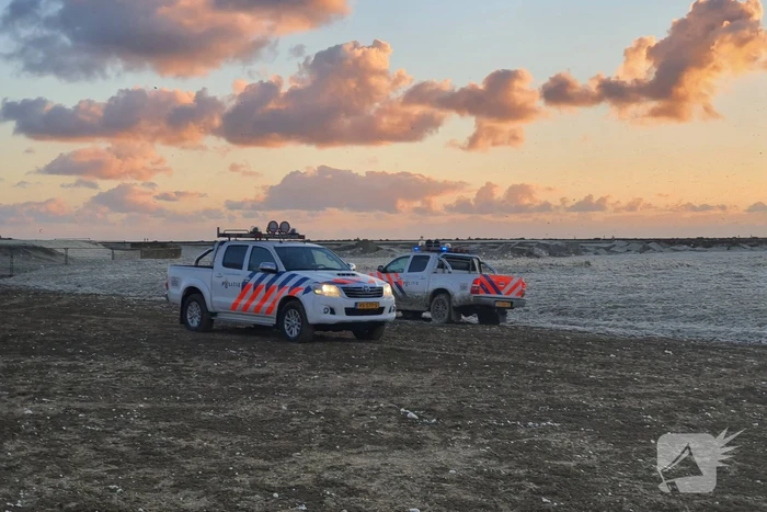 Doden en gewonde bij surfongeval