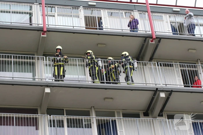 nieuws de gealanden leeuwarden