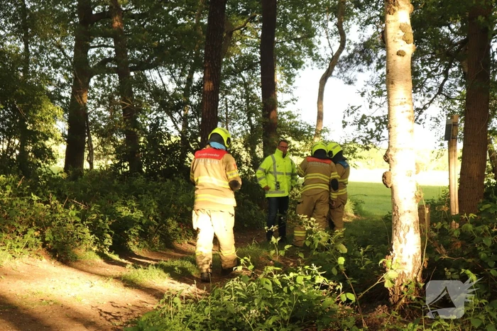 Vaten met mogelijk drugsafval aangetroffen in bos