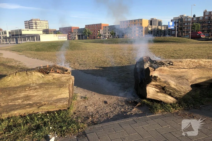 Brandweer blust brandende boomstammen
