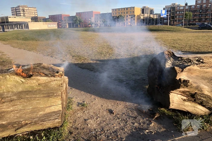 Brandweer blust brandende boomstammen