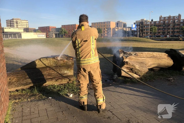 Brandweer blust brandende boomstammen