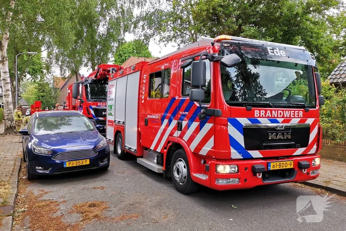 Loshangende takken door brandweer verwijderd