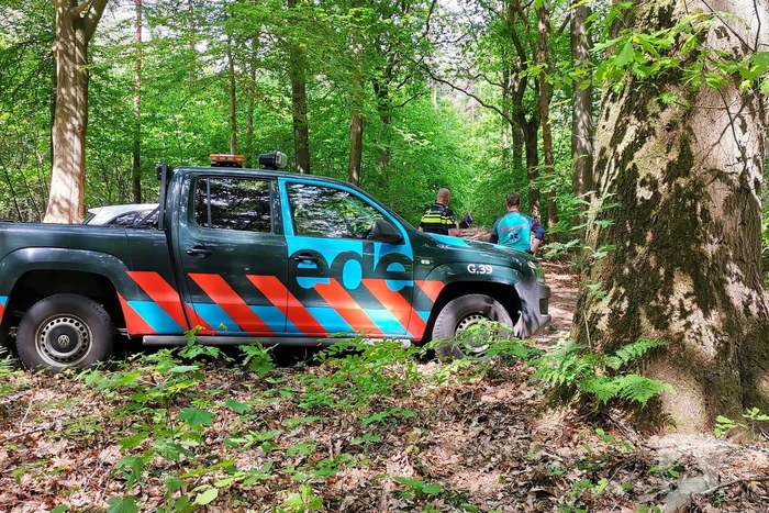 Zoekactie naar gewonde in bosgebied