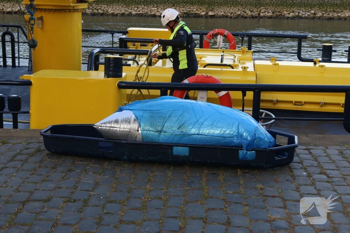 Zoekactie naar object in Voorhaven
