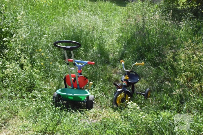 Grote zoekactie na aangetroffen kinderdriewielers langs waterkant
