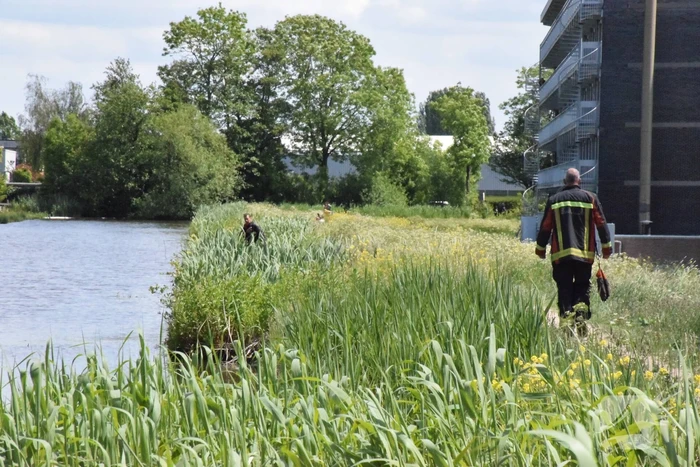 Grote zoekactie na aangetroffen kinderdriewielers langs waterkant