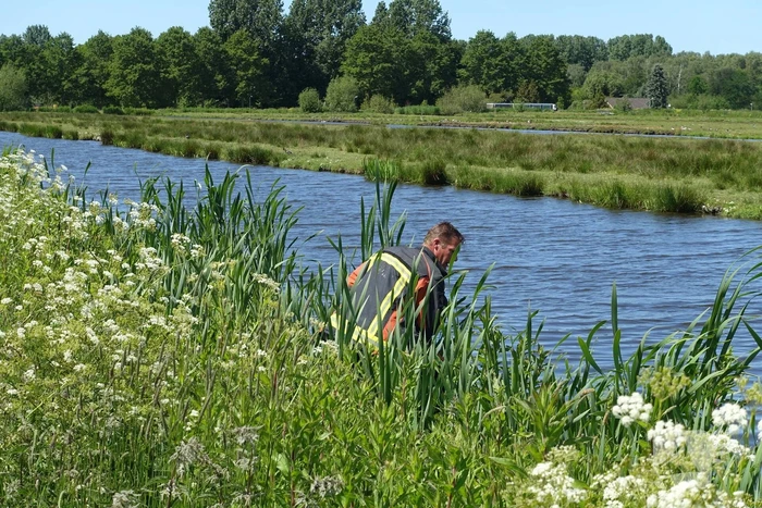 Grote zoekactie na aangetroffen kinderdriewielers langs waterkant