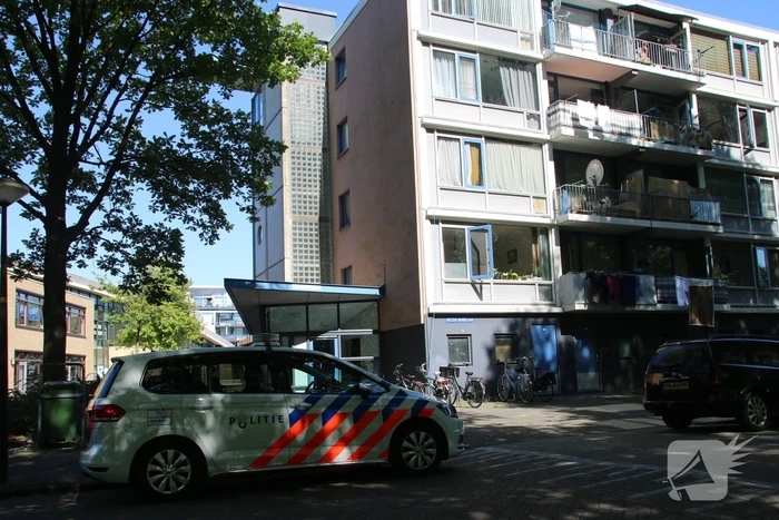 nieuws willem marislaan maassluis