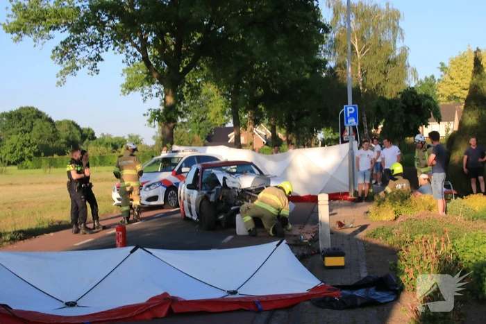 Auto total-loss na frontale aanrijding met boom