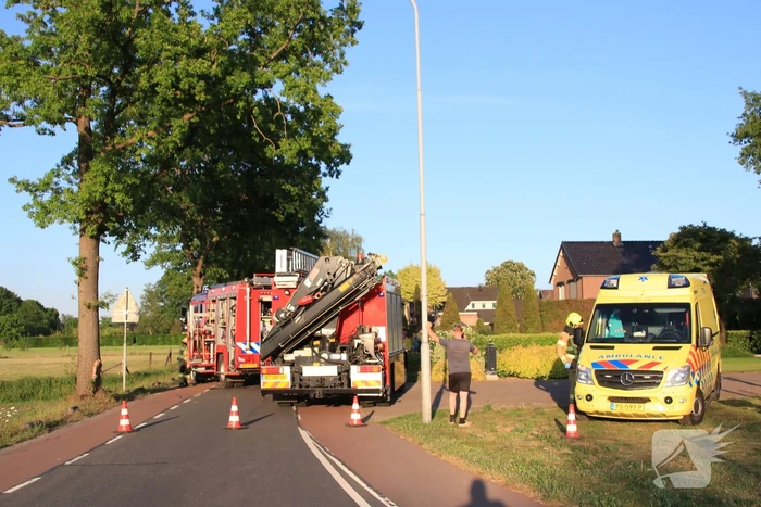 Auto total-loss na frontale aanrijding met boom
