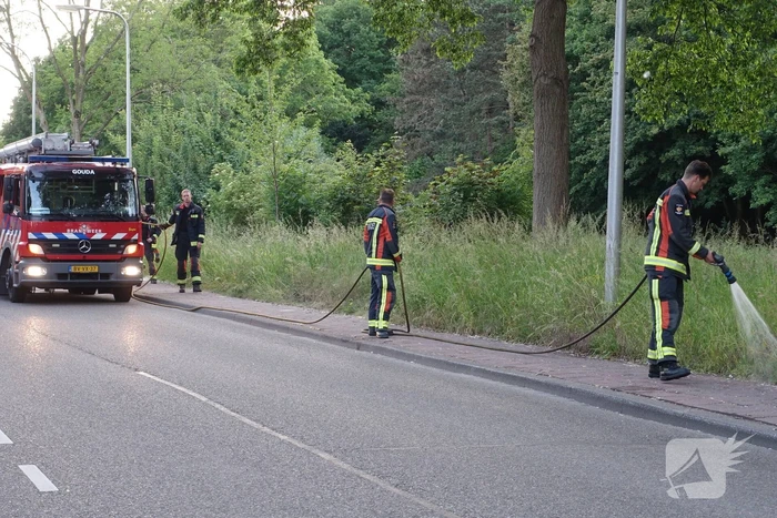 brand groenhovenweg gouda