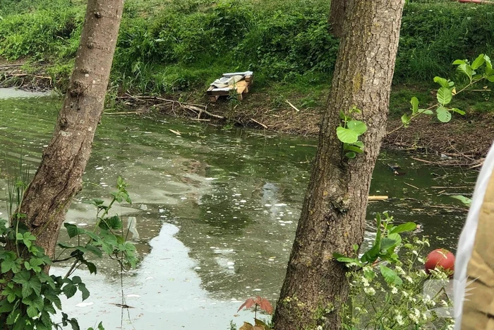 Dode vissen in vijver aangetroffen