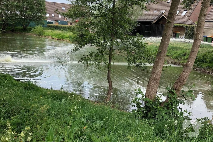 Dode vissen in vijver aangetroffen