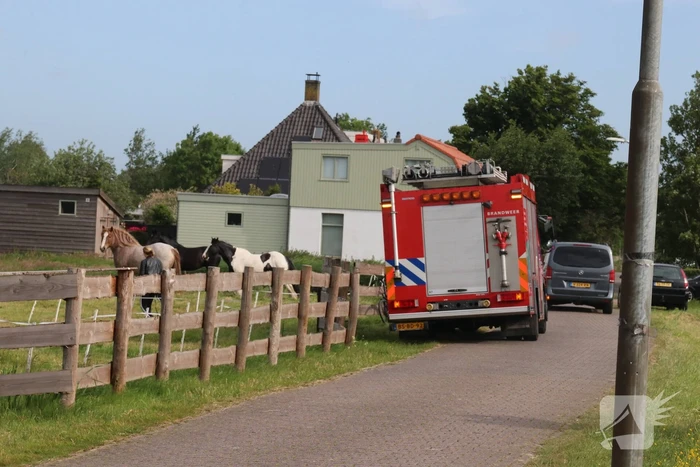 Paard belandt te water