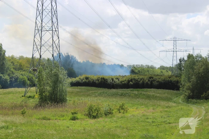 Grote brand in natuurgebied