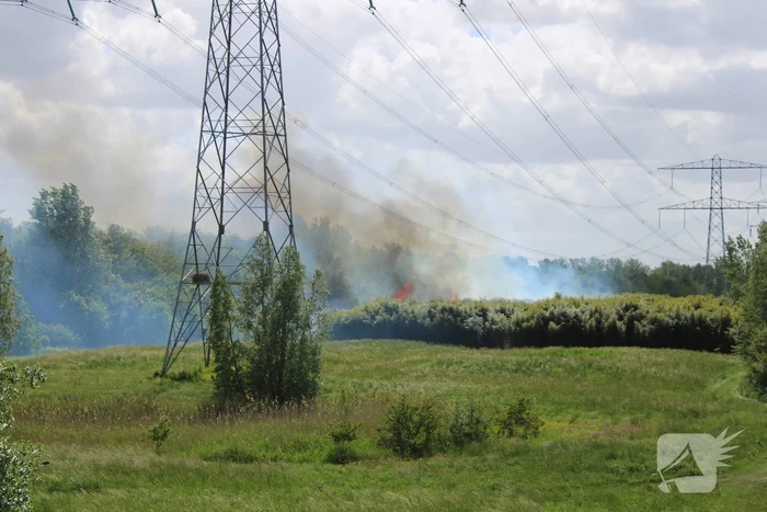 Grote brand in natuurgebied