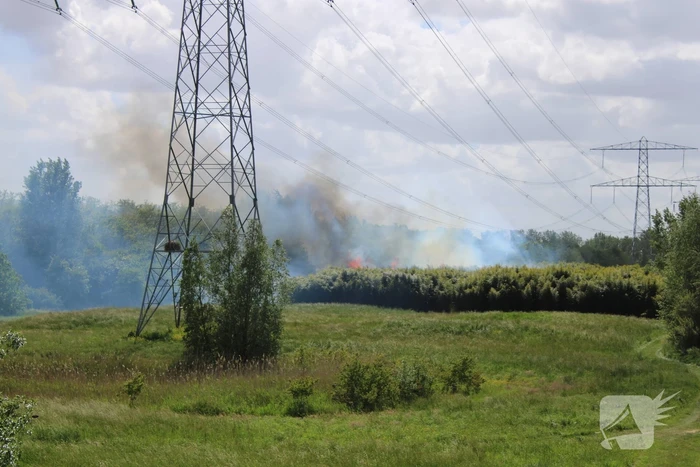 Grote brand in natuurgebied