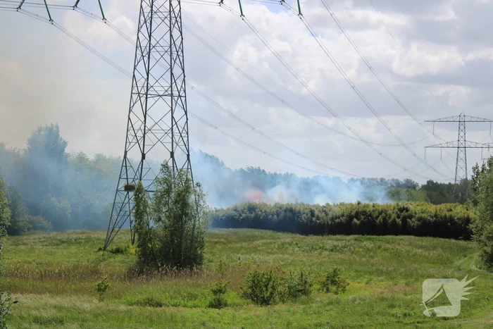 Grote brand in natuurgebied