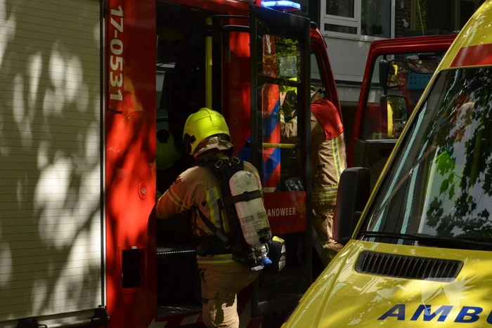 Brand in flatwoning