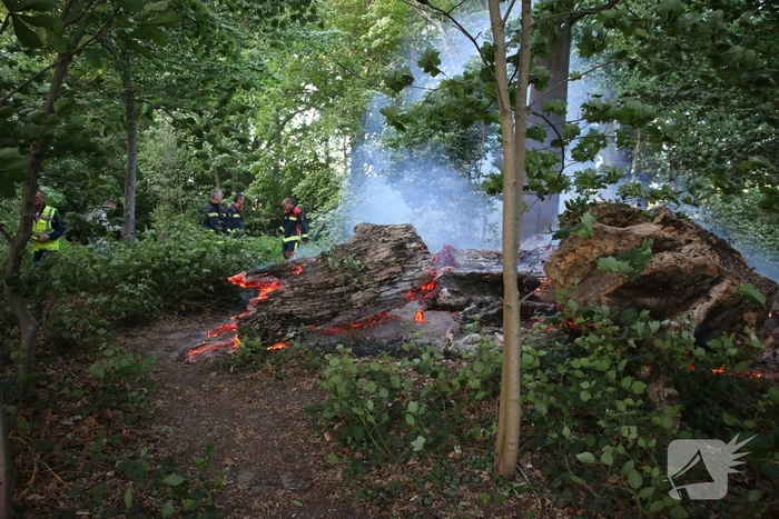 brand rijnsburgerweg voorhout