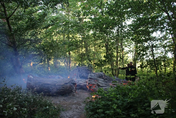 Flinke rookontwikkeling bij brand in meerdere boomstammen