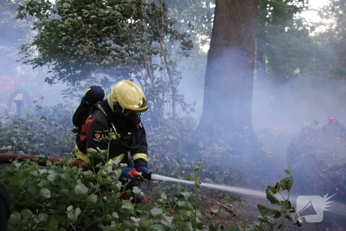 Flinke rookontwikkeling bij brand in meerdere boomstammen