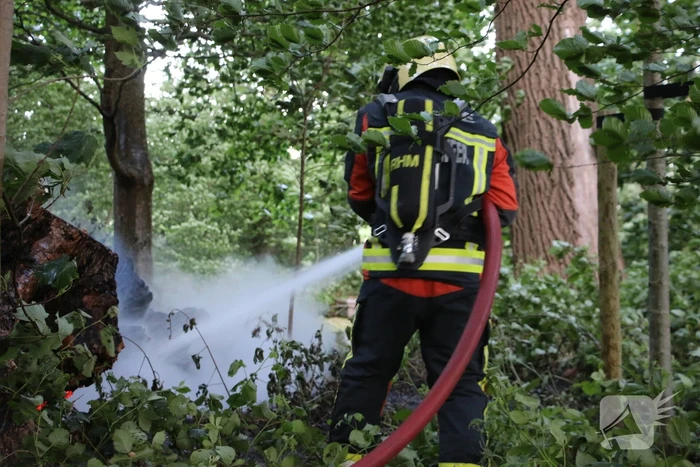 Flinke rookontwikkeling bij brand in meerdere boomstammen