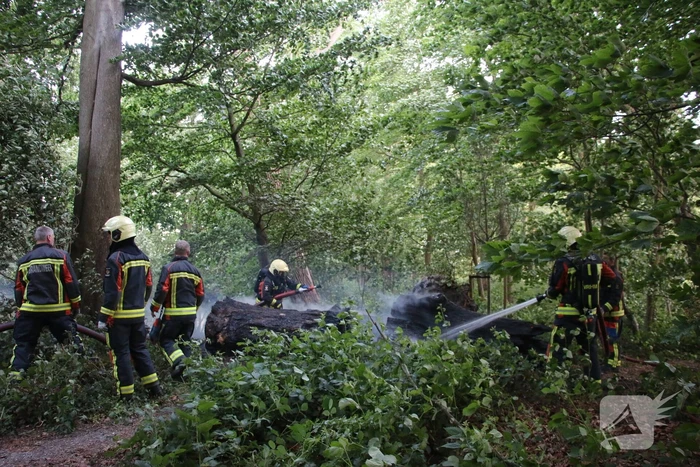 Flinke rookontwikkeling bij brand in meerdere boomstammen