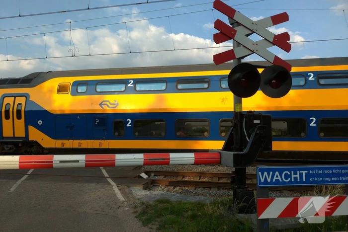 nieuws maasdijk hedel