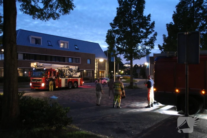 Ontsnapte papegaai zorgt voor nodige commotie